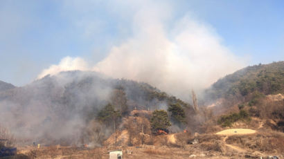 산림청, 안동·하동·영동·예천에 산불위기경보 심각단계