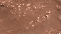 "이것이 화성의 바람소리" 美탐사선이 보낸 경이로운 순간 [영상]