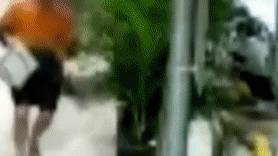 소매치기 '헤드록' 제압, 맨발의 호주할머니 20초 결투 [영상]