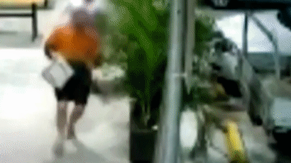 소매치기 '헤드록' 제압, 맨발의 호주할머니 20초 결투 [영상]