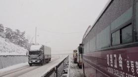 차량 수백대 고속도로 갇혔다···폭설에 속초 IC 일대 통제