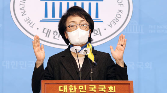 서울시장 도전 김진애, 의원직 사퇴···그 자리 김의겸이 받는다