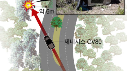 "커브서 직진"…타이거 우즈 GV80 사고 '졸음운전' 가능성