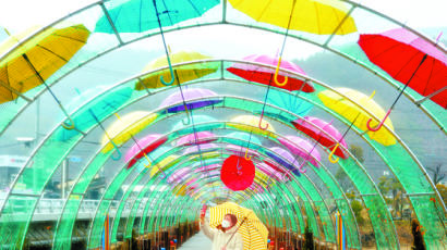 [사진] 알록달록 우산터널