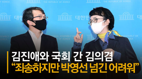 김의겸과 국회 간 김진애···"박영선과 방송토론땐 시청률 폭발"