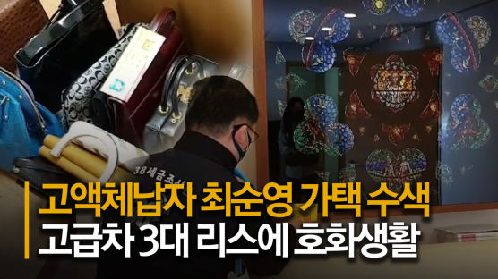 1000억대 체납한 최순영 "그림 판 돈 35억은 손자 학자금" [영상]