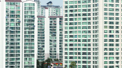 ‘영끌’한 아파트 절반만 쓴다···시장 왜곡 부른 다주택규제 역설