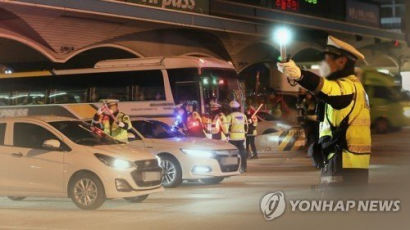 사고 친 김진애 의원 비서…음주측정 중 경찰관 밀쳐 입건