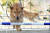 진도의 명견인 진돗개가 장애물을 뛰어넘고 있다. 진도군은 '진도개테마파크'를 지역의 대표 관광상품으로 홍보하고 있다. 중앙포토