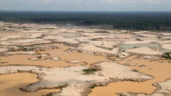 “지구상 열대우림 17년간 3분의2 파괴…프랑스 면적보다 커”
