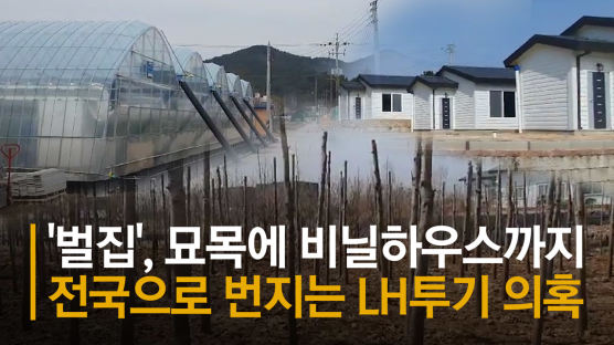 빈 땅에 비닐하우스·벌집·나무밭 “동네가 누더기 됐다” [영상]