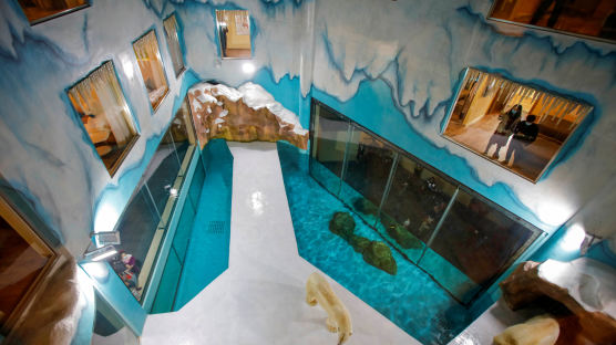 투숙객 둘러싸인 호텔 가운데···욕먹는 '세계 최초 북극곰 호텔'