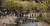 지난 13일 오후 전남 구례군 산동면 반곡마을에서 상춘객들이 만개한 산수유꽃을 보며 즐거운 시간을 보내고 있다. [사진 전남구례군]