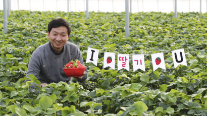 [2030 서울탈출기] ④ 32세 사장님의 딸기농장…이 시국에도 손님 3800명 비결 