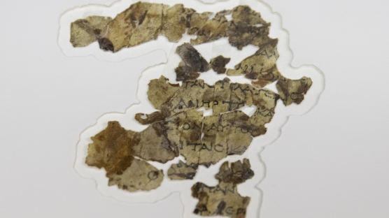 이스라엘 '공포의 동굴'에서 1900년 전 성경 사본 조각 발굴