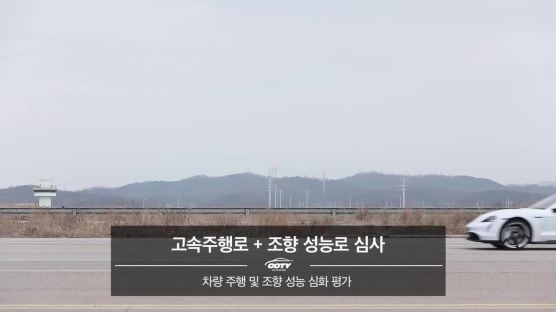 올해의 차 '아반떼'…올해의 수입차는 포르쉐 타이칸