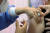 18일 서울 양천구 구립양천어르신요양센터에서 양천구 보건소 의료진이 65세 미만 센터 종사자들을 대상으로 아스트라제네카(AZ) 백신 방문 접종을 하고 있다. 연합뉴스