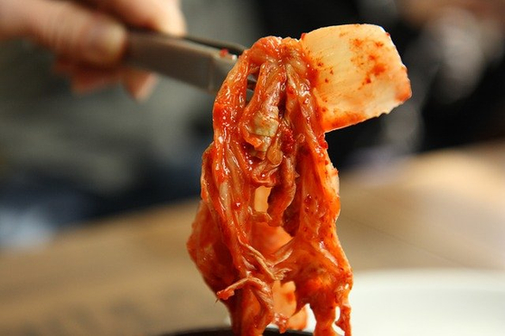 식당 김치 파리 날리기 시작···'알몸 배추' 공포, 한국 습격