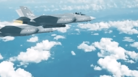 美 F-35 '치명적 독침'…스텔스기에 스텔스 미사일 달았다