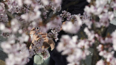 꽃놀이 시즌에 긴급사태 해제한 日…'벚꽃 확산' 비상