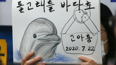 울산시민 울린 ‘고아롱’…남구청장 후보 공통공약 된 ‘돌고래’