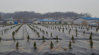 국회 공직자윤리법 개정 "LH 직원 업무 연관 부동산 못 산다"