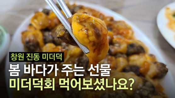 (영상)고소하고 짭짤한 봄 바다의 맛, 창원 진동 미더덕