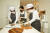 한아름(가운데) 개로만족 대표가 할머니 요리사들과 함께 강아지 수제 간식 만드는 모습을 시연했다. 실제 조리할 때는 위생을 위해 머리카락을 모두 덮는 주방 위생모를 착용한다.
