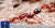 중국중앙방송이 29일 보도한 붉은불개미 확산 뉴스 화면 [CC-TV 캡처] 