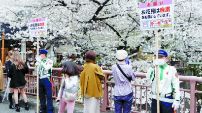 [사진] 일본 ‘꽃놀이 자제’ 팻말에도 …