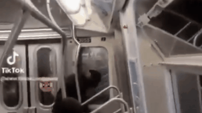 뉴욕 지하철서 흑인이 아시아인 무차별 폭행…결국 혼절 [영상] 