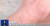 중국중앙방송이 29일 보도한 붉은불개미 피해 관련 뉴스 화면 [CC-TV 캡처] 