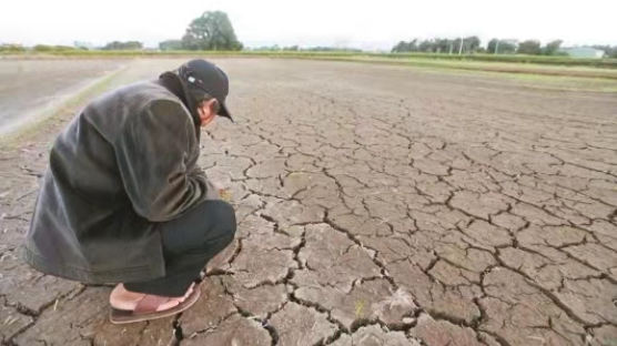 대만 56년만의 최악 가뭄…애플·테슬라도 걱정하는 이유