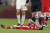 월드컵 예선에서 무릎을 다친 폴란드의 레반도프스키가 쓰러져 있다. [AP=연합뉴스]