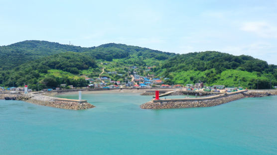 다시 찾은 이름 ‘단풍나무 섬’…‘일본 색’ 이름 바꾸는 마을들