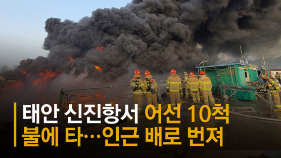 선박 30척 불에 탄 태안 신진도항 화재…특별재난지역 선포 요청