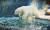 북극곰은 멸종위기에 취약한 종으로 분류하고 있으며, 현재 전세계에 2만~3만1000마리가 분포하는 것으로 알려져 있다. [사진 pixabay]