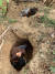 5일(현지시간) 미얀마 카렌 지역 주민들이 군부의 공습에 대피해 지하 벙커를 만들고 있다. [AFP=연합뉴스]