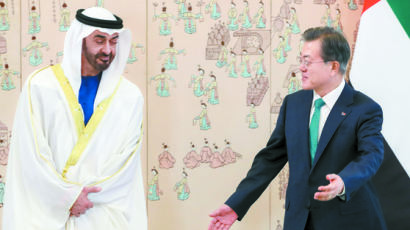 文대통령, UAE 왕세제에 서한…바라카 원전 가동 등 축하