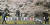 서울 진관동주민센터 관계자들이 은평뉴타운 벚꽃길 주변에 붙어있던 선거벽보를 제거하고 있다.[연합뉴스]