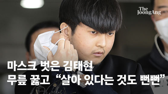 무릎꿇은 김태현, 마스크도 벗었다 "숨 쉬는것도 죄송" [영상]