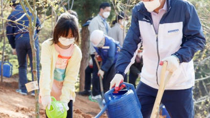 나무로 코로나 블루 잊어요… 마포구 ‘릴레이 나무심기’ 실시