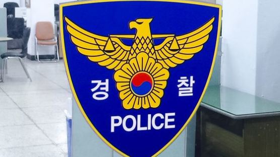 중앙선 침범한 차만 '쿵'…보험사기 32명 무더기 검거