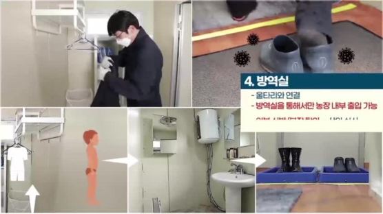 양돈농가 ASF 바이러스 차단하는 8대 방역시설은 이것[영상] 