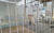 경기 김포에 있는 유기견 200여 마리를 보호하는 '아지네마을'이 철거 위기에 내몰리자 도움의 손길이 이어졌다. 사진은 지난1월 자원봉사자가 촬영한 아지네마을의 모습. 연합뉴스