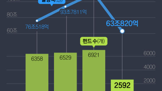 ‘사모펀드 공포증’ 은행들 수탁 퇴짜에 해외서 돈 쓸어간다