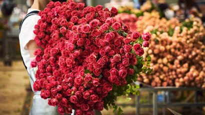 코로나 덕에 ‘꽃’에 꽂혔다…“온라인 꽃 판매 63% 증가”