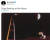 지난 15일 일론 머스크 테슬라 CEO가 트위터에 올린 ‘달을 짖는 도지’ 트윗 이후 암호화폐 도지코인은 급등락을 반복하고 있다. [사진 트위터]