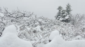 4월 마지막날 웬 겨울왕국…설악산에 눈 펑펑, 15㎝ 쌓였다