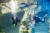 롯데월드 아쿠아리움에서는 수중생물, 아쿠아리스트와 함께 사진을 찍는 이벤트가 진행된다. 사진 롯데월드